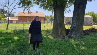 Старица из Прековца