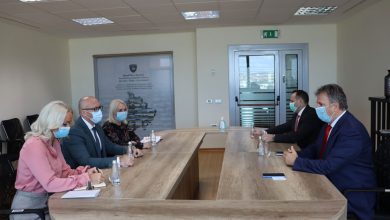 Ракић и амбасадор Мађарске