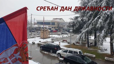 Дан државности