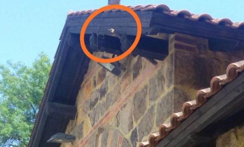 Polomljen jarbol sa srpskom zastavom u Gračanici
