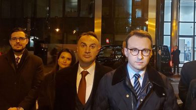 Петковић у Бриселу