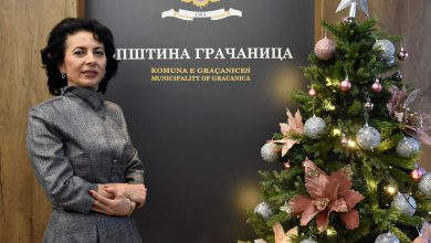 Љиљана Шубарић - новогодишња