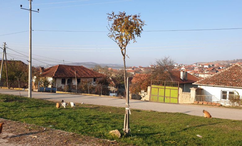 Пасјане