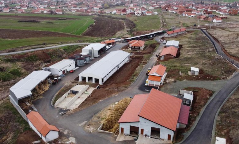 Сокара манстира Грачаница
