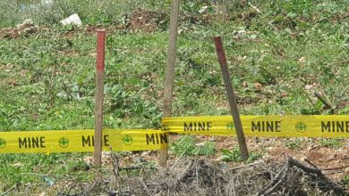 Мине - зеленика