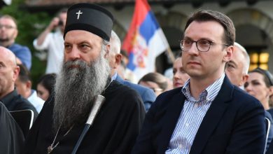 Patrijarh Porfirije i Petković