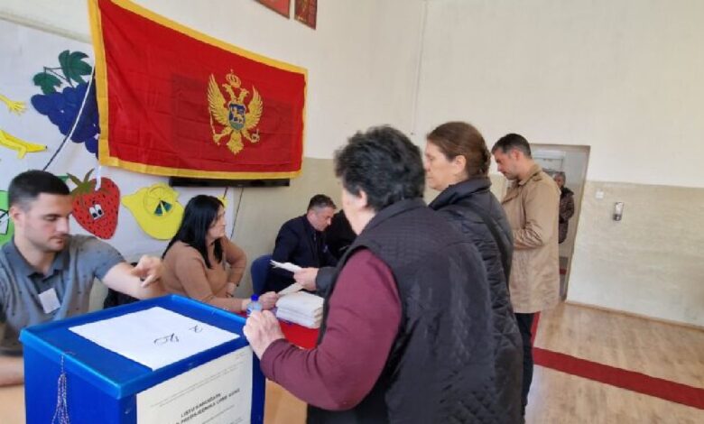 Избори у Црној Гори