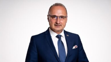 Горан Грлић Радман