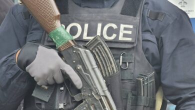 Косовска полиција