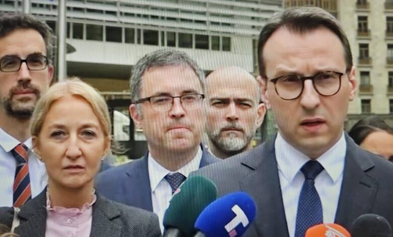 Шетар Петковић у Бриселу