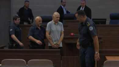 Драгиша Миленковић