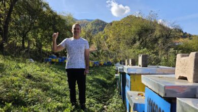 Пчелар из Штрпца Никола Арсић