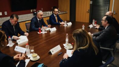 Српска листа