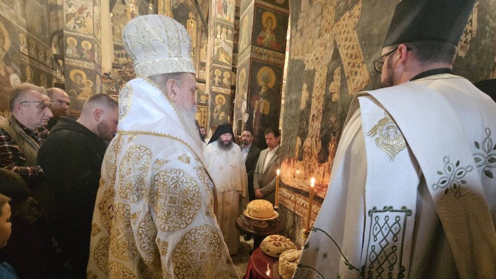 Владика Теодосије