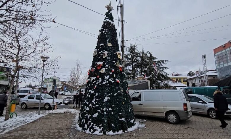 Центар Грачанице - јелка