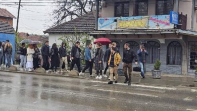 Студенти у Грачаници